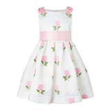 Rose Embroidered Organza Dress