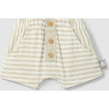 Striped Shorts