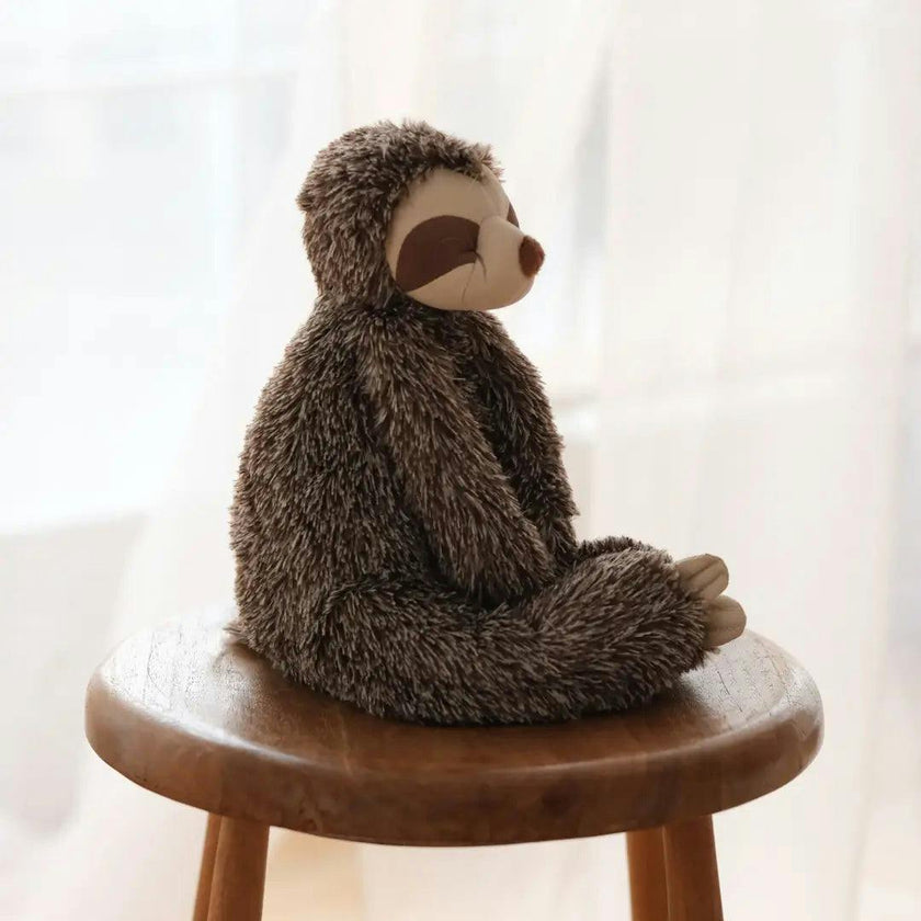 A Sloth Called Sunny