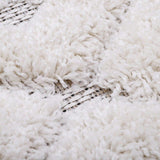Homy Velvet Flat Woven Dotted Fringed Rectangular Rug