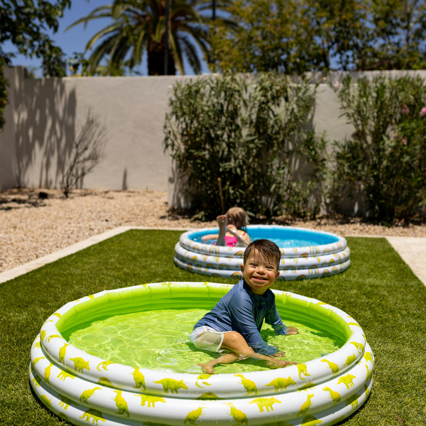 Mini Pool with Dinosaurs