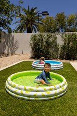 Mini Pool with Dinosaurs