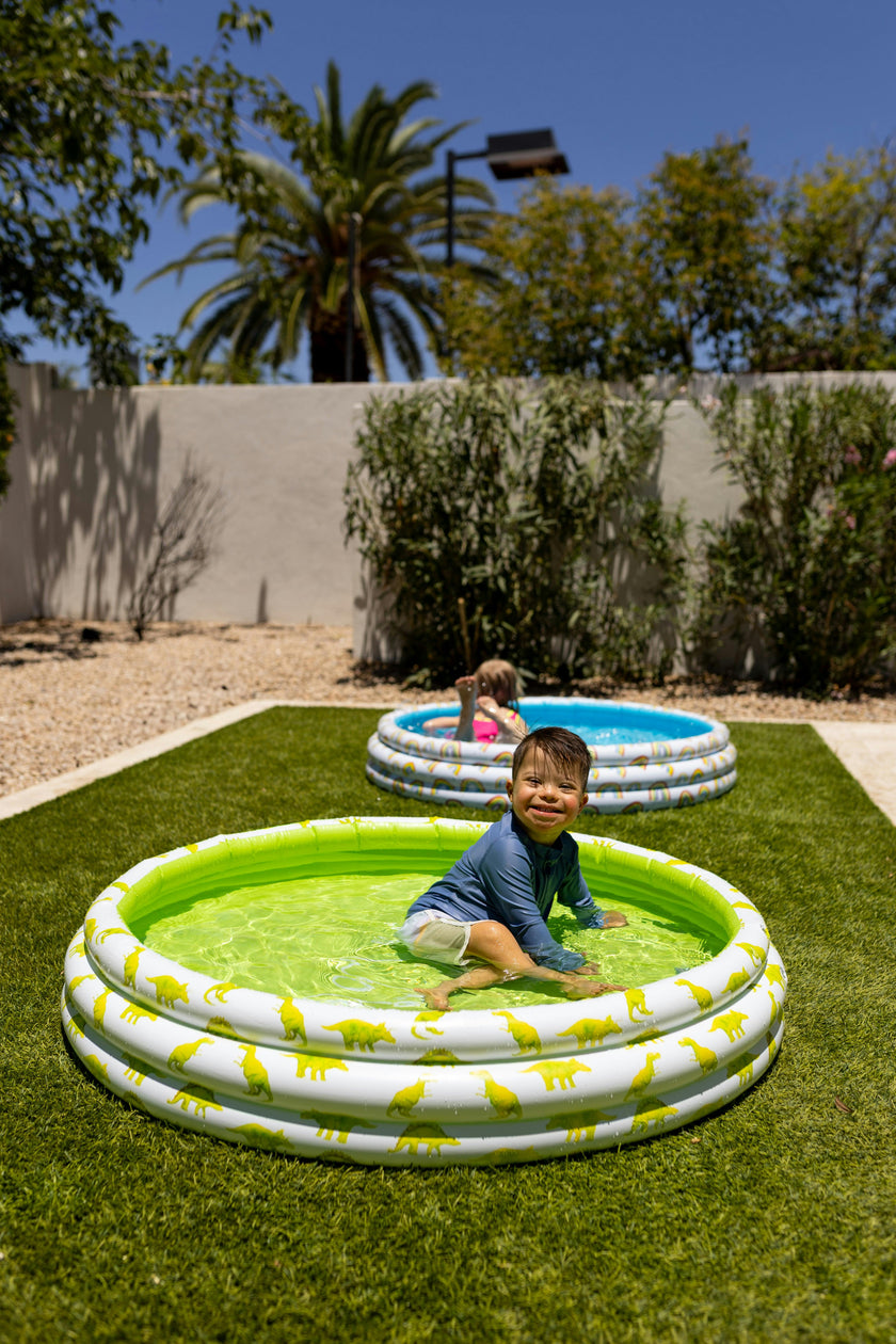 Mini Pool with Dinosaurs