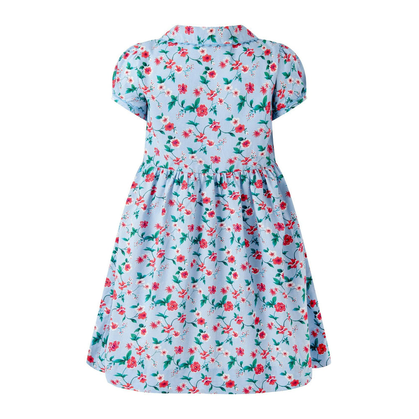 Blue Smocked Button-Front Dress