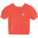 BONTON Niko Sweater - Rose Amor
