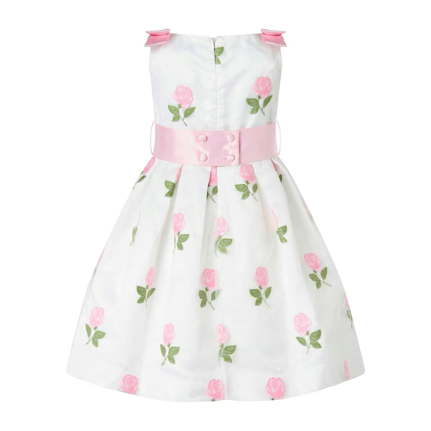 Rose Embroidered Organza Dress