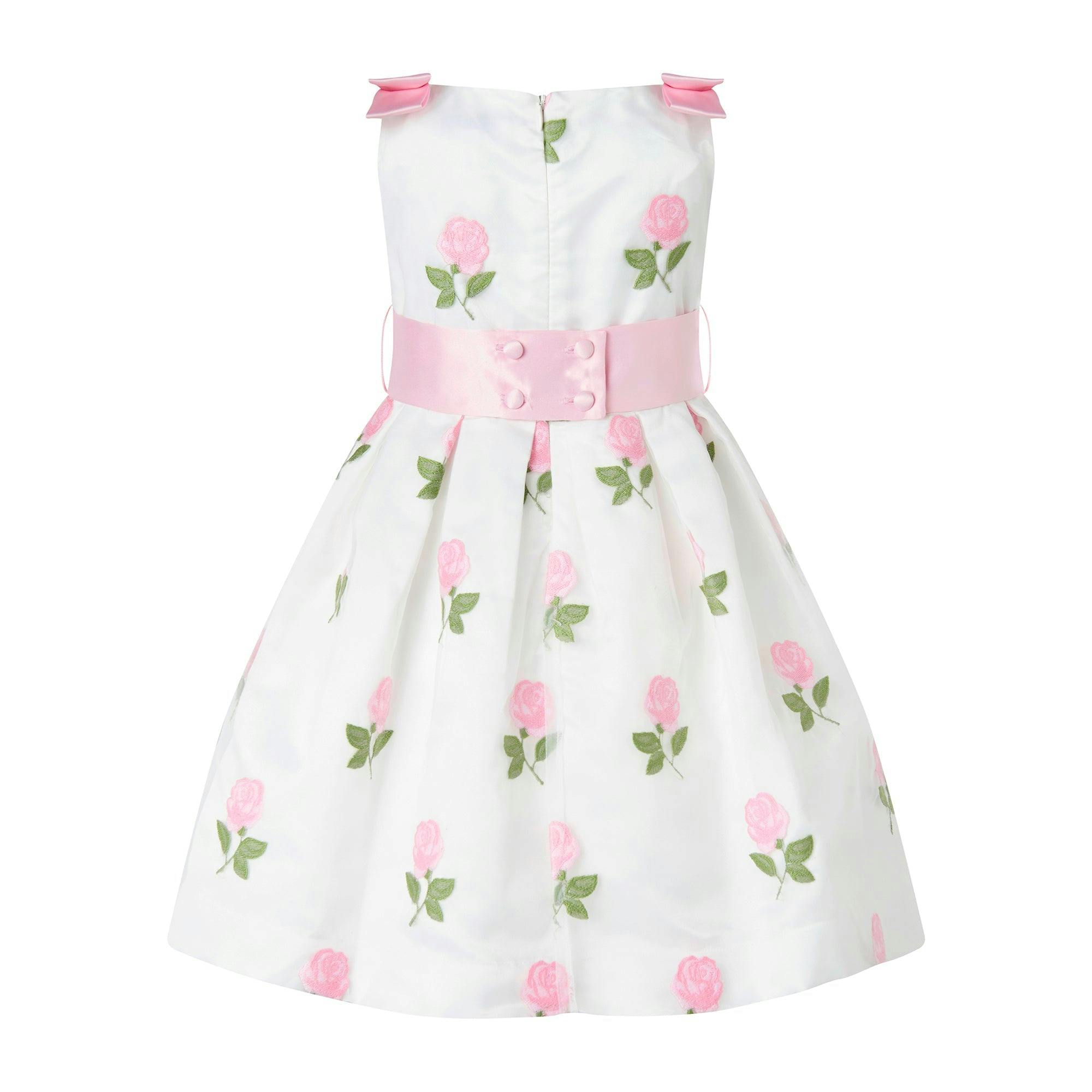 Rose Embroidered Organza Dress