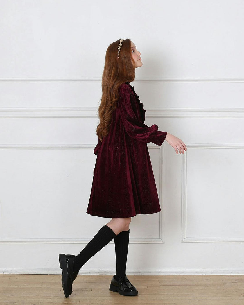 Lena dress (garnet velvet)