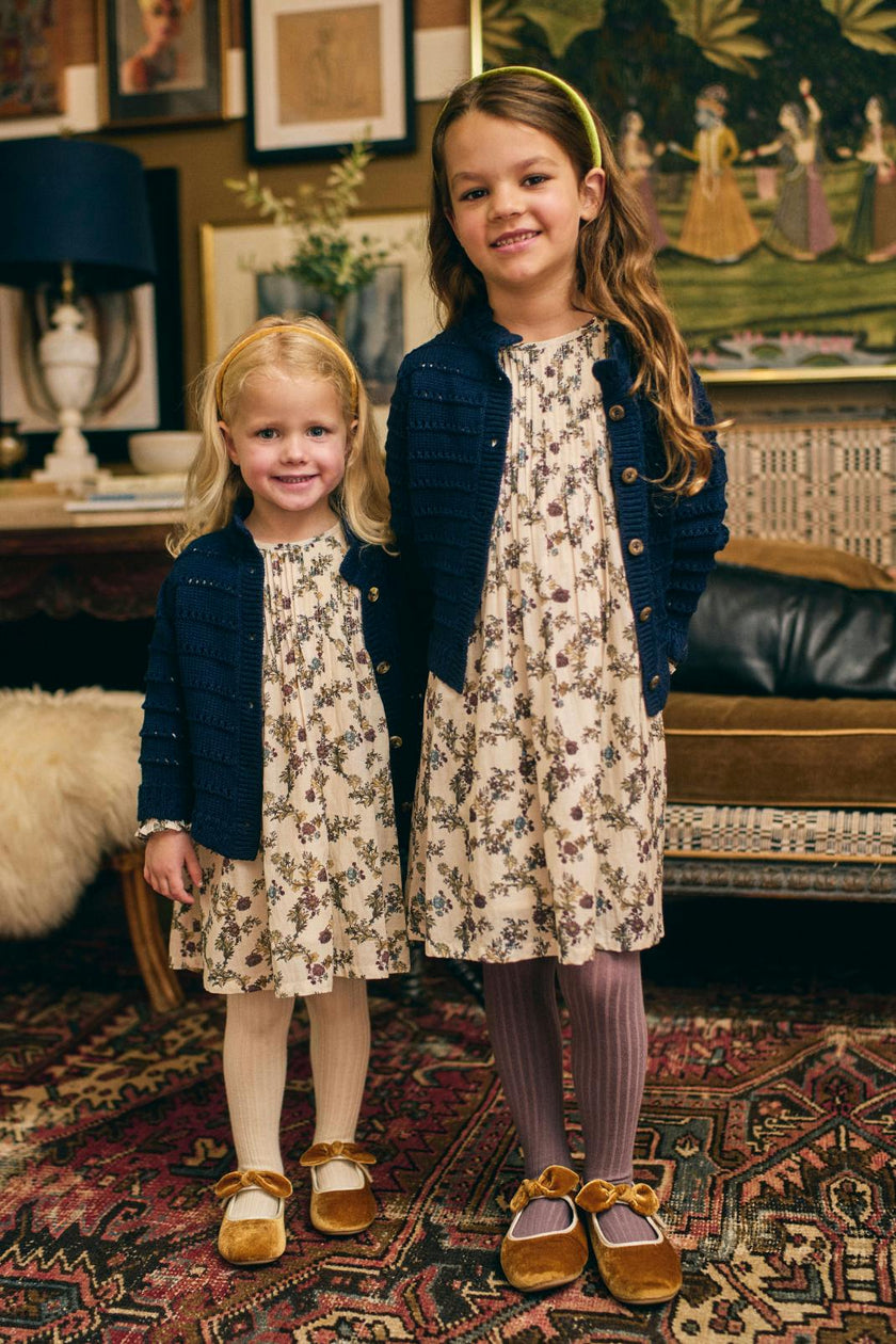 Charlotte Dress in Harvest Toile