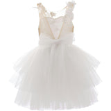 White Carnelian Floral Embroidered Tulle Dress