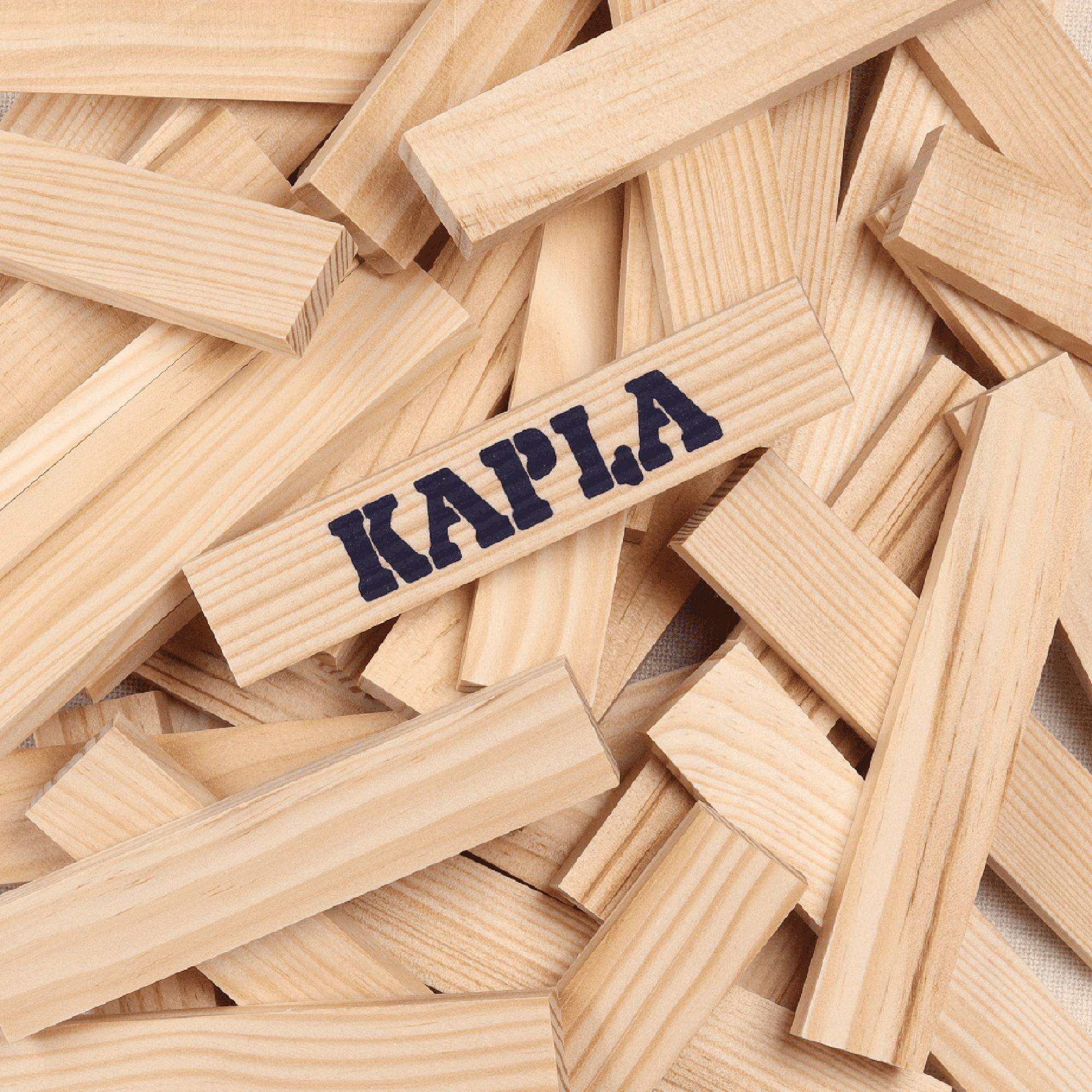 KAPLA 100 Case