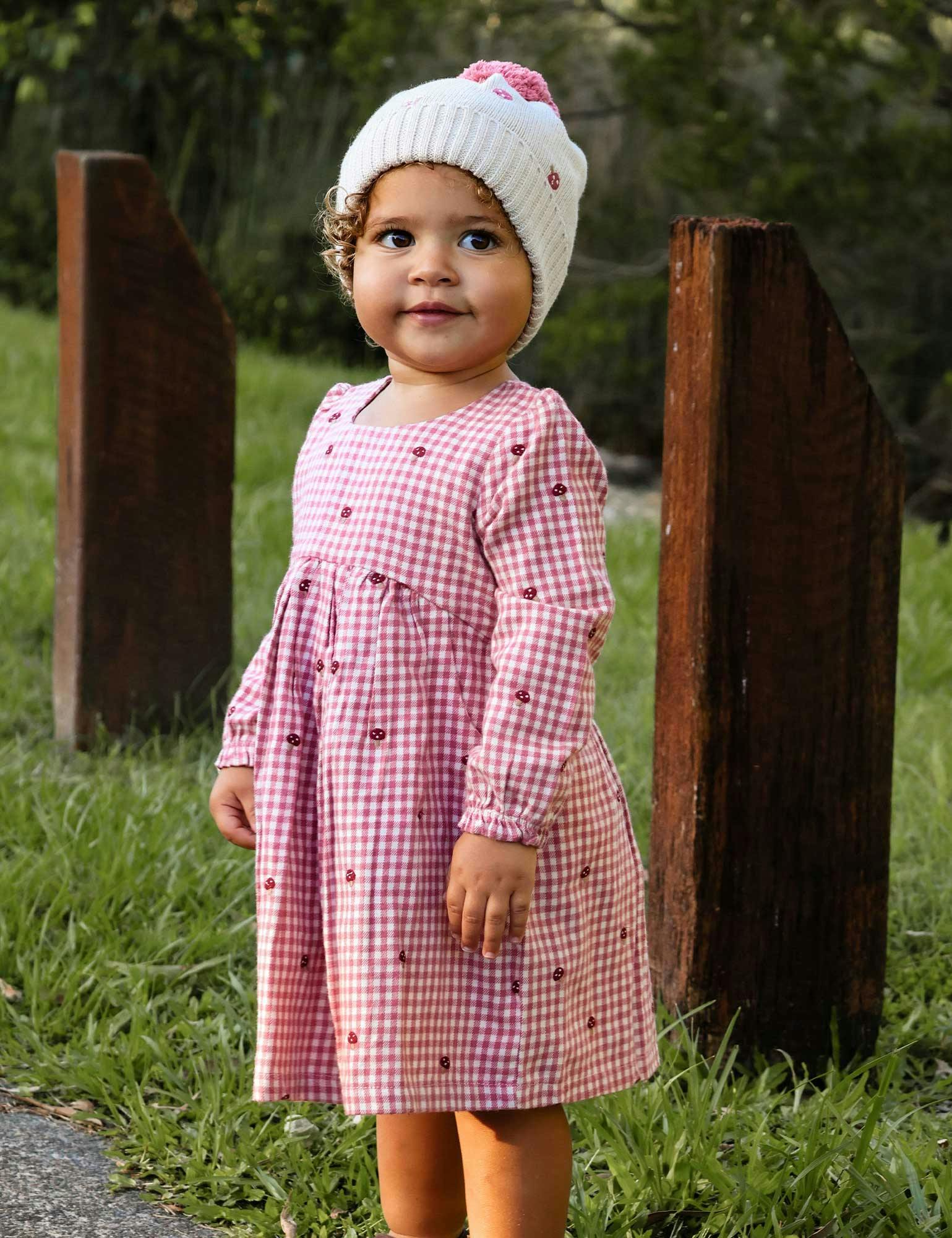 Gingham Broidery Dress Gingham Toadstool Broderie