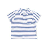 Navy Stripe - Polo with Everyday Short