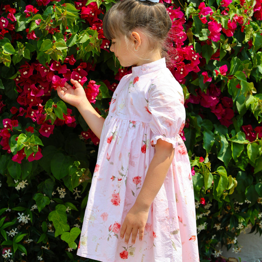 The Madeleine Dress | Blush Rose