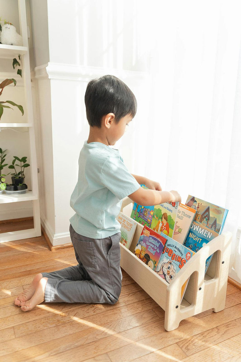 The Montessori Bookshelf