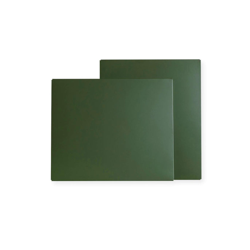 Extra Shelves in Olive