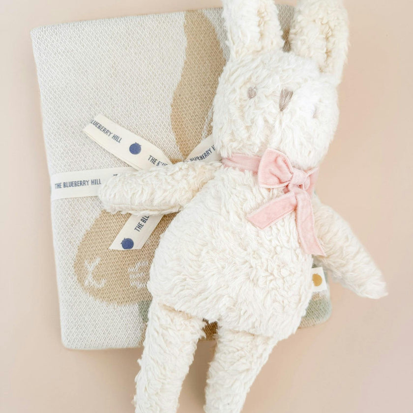 Pastel Bunny Blanket and Plush Toy Blush Gift Set