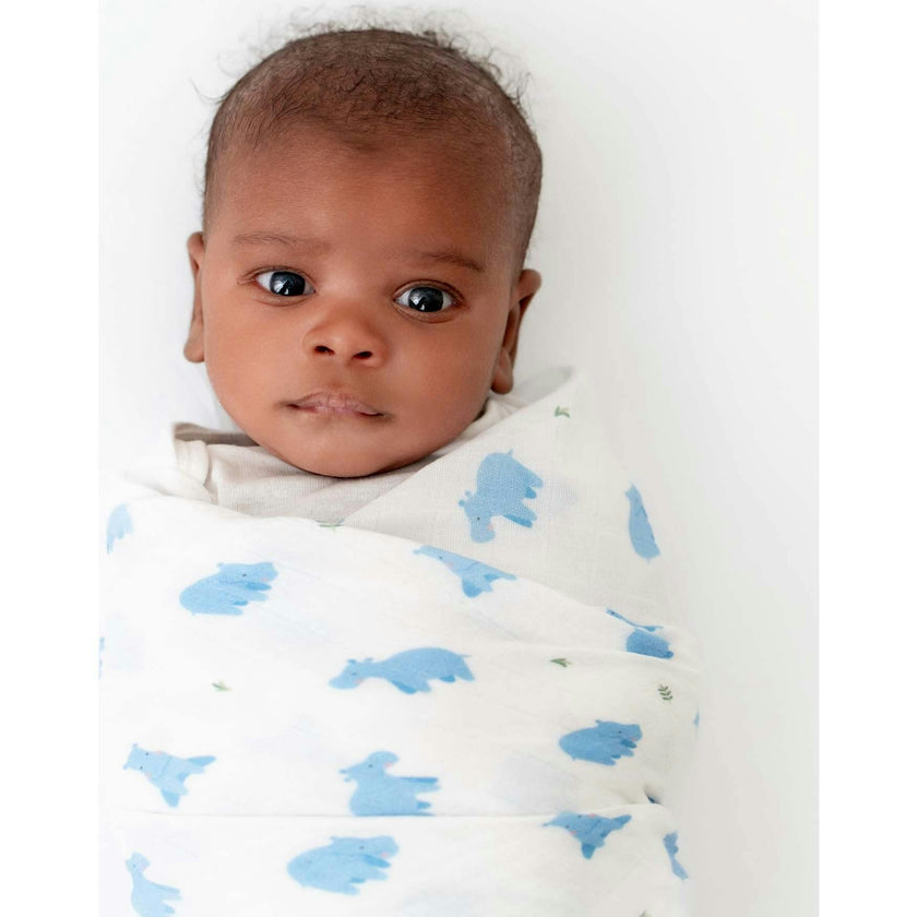 Swaddle Set