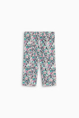 TNS Logo Rib Baby Legging Special Ashby Print