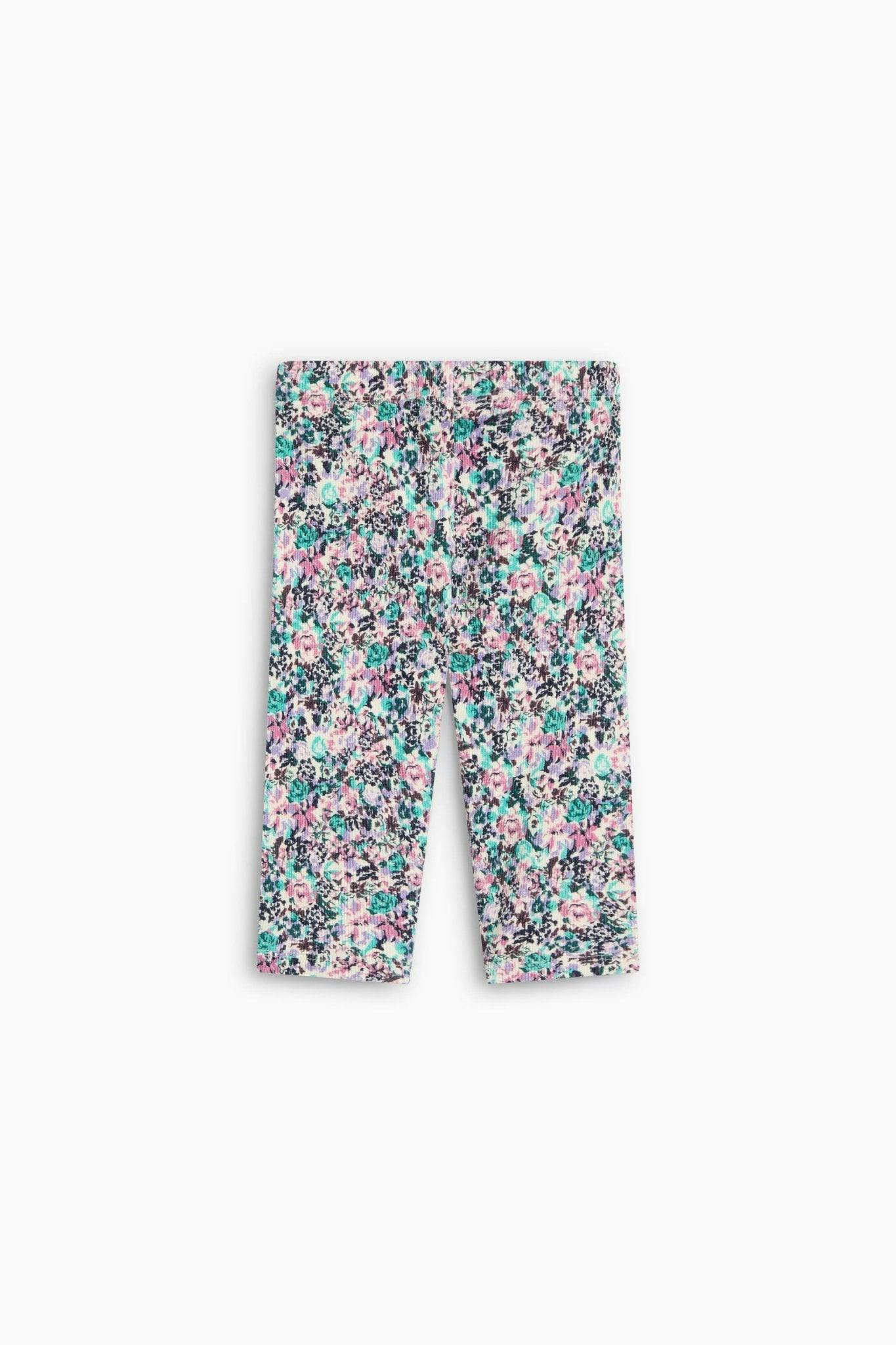 TNS Logo Rib Baby Legging Special Ashby Print