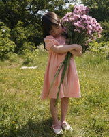 Beth Dress - Candy Floss