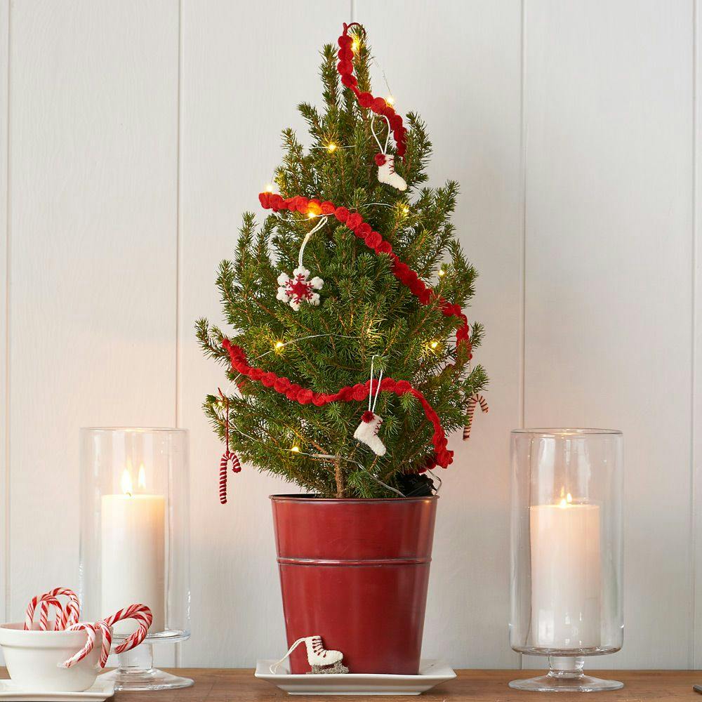 24 Piece Set- Iconic Christmas Mini Tabletop Tree Set- Hand Felted Wool