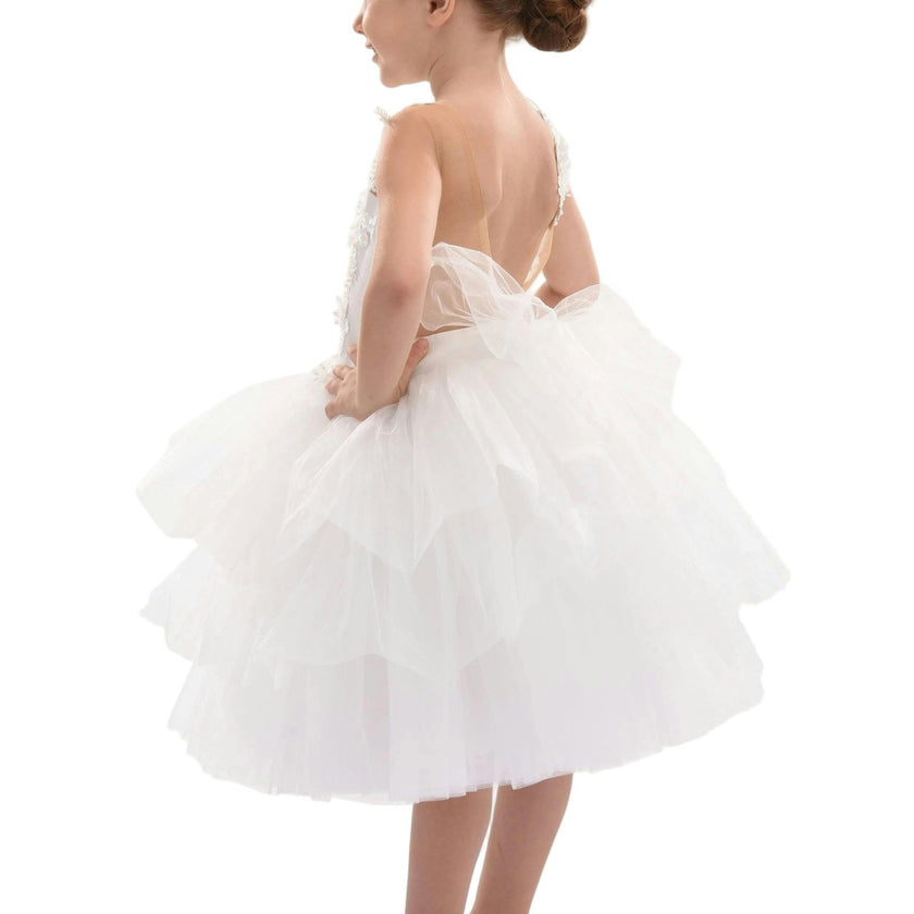 White Carnelian Floral Embroidered Tulle Dress