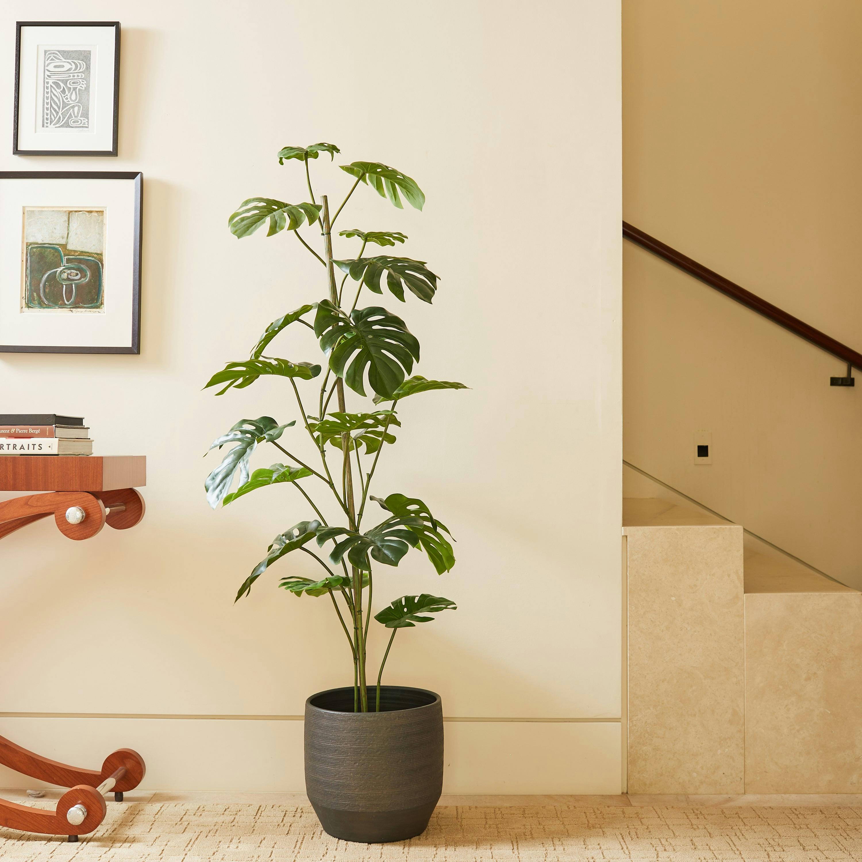 5' Artificial Monstera Tree