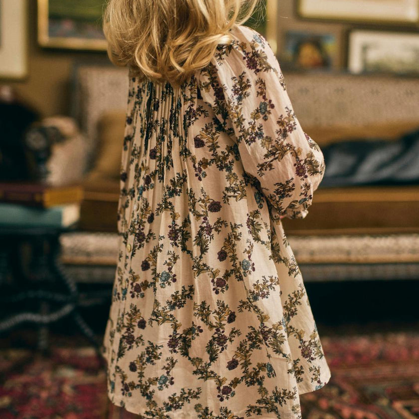 Charlotte Dress in Harvest Toile