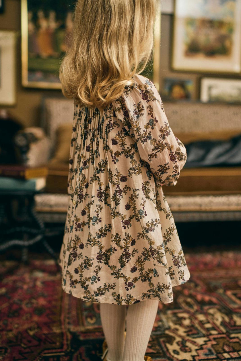 Charlotte Dress in Harvest Toile