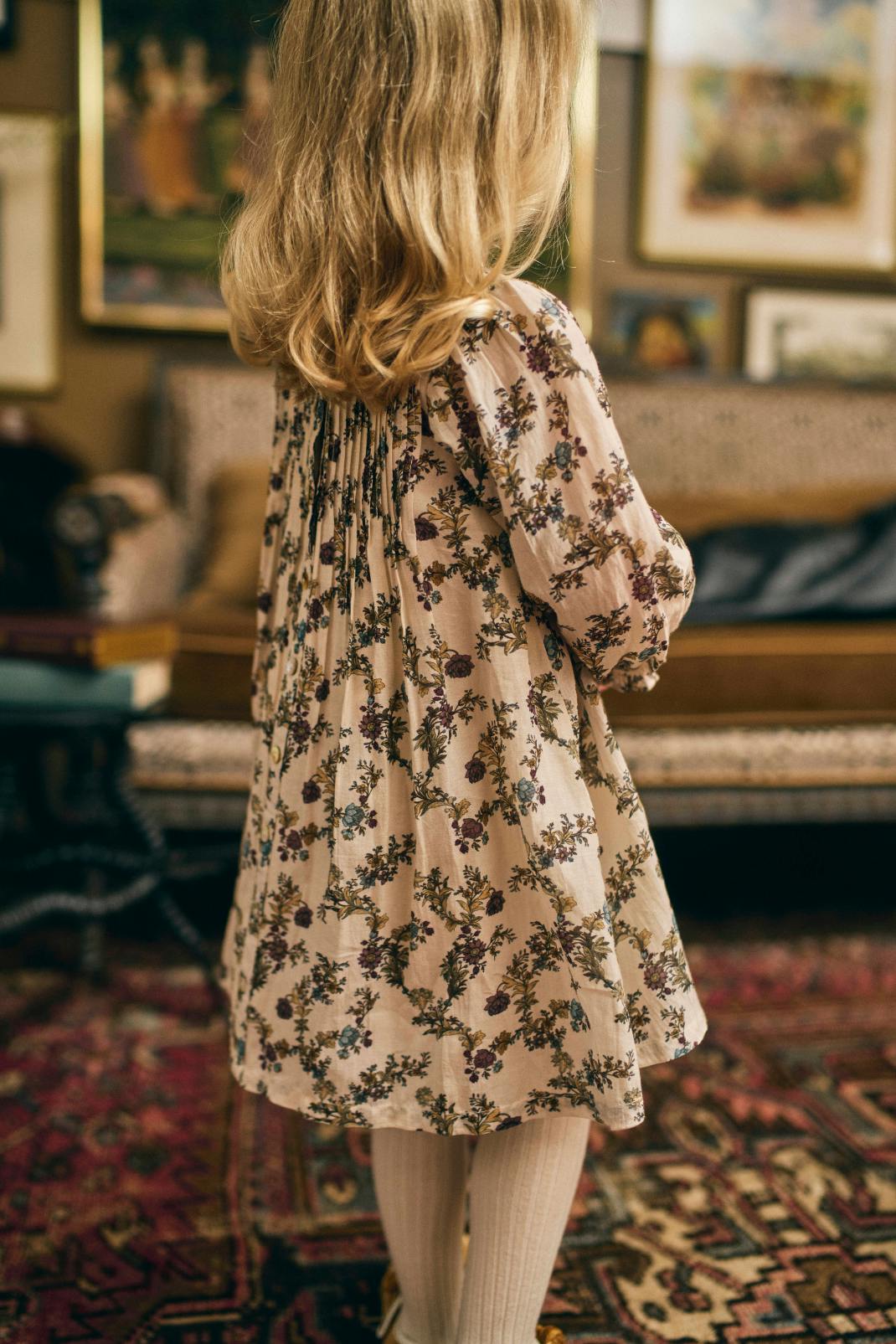Charlotte Dress in Harvest Toile