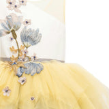 Blue Gemini Tulle Dress