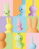 Mr Maria Miffy Colourful Surprise Bundle of Light