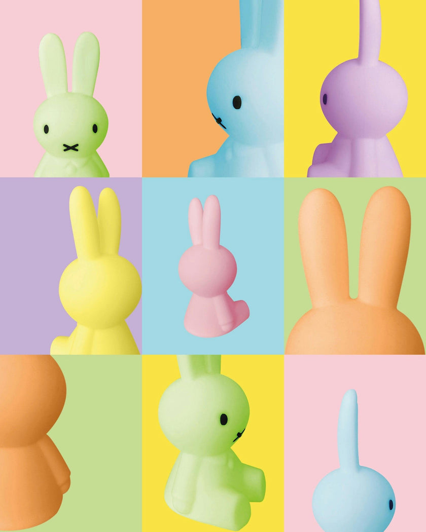 Mr Maria Miffy Colourful Surprise Bundle of Light