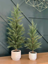 2' Faux Cedar Tree, Set of 2
