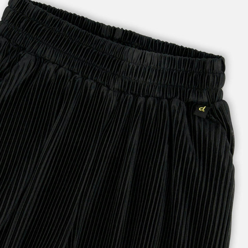 Wide Leg Pleated Pants