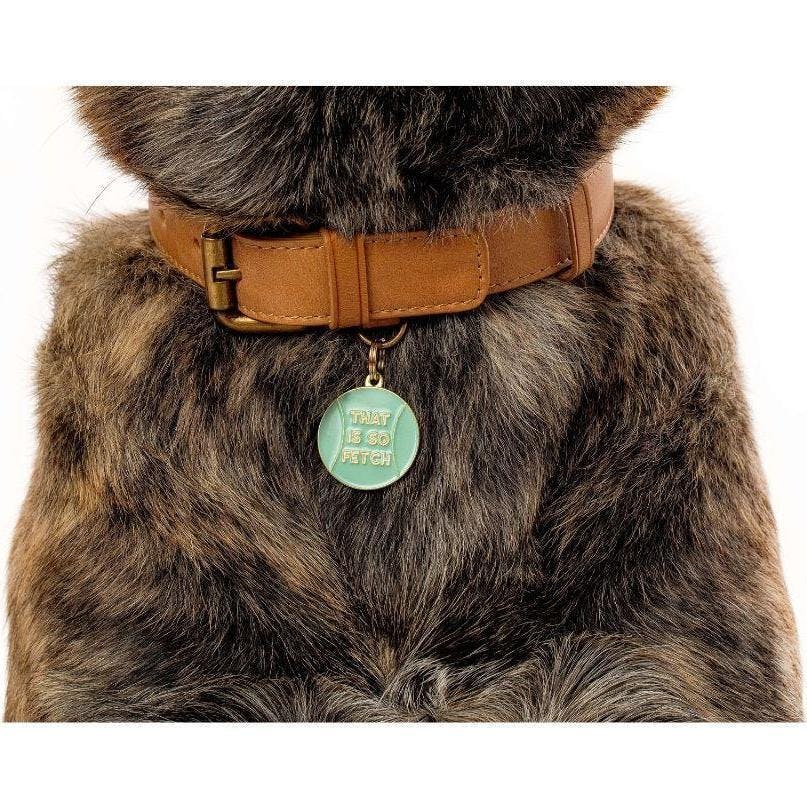 That's So Fetch Pet ID Tag