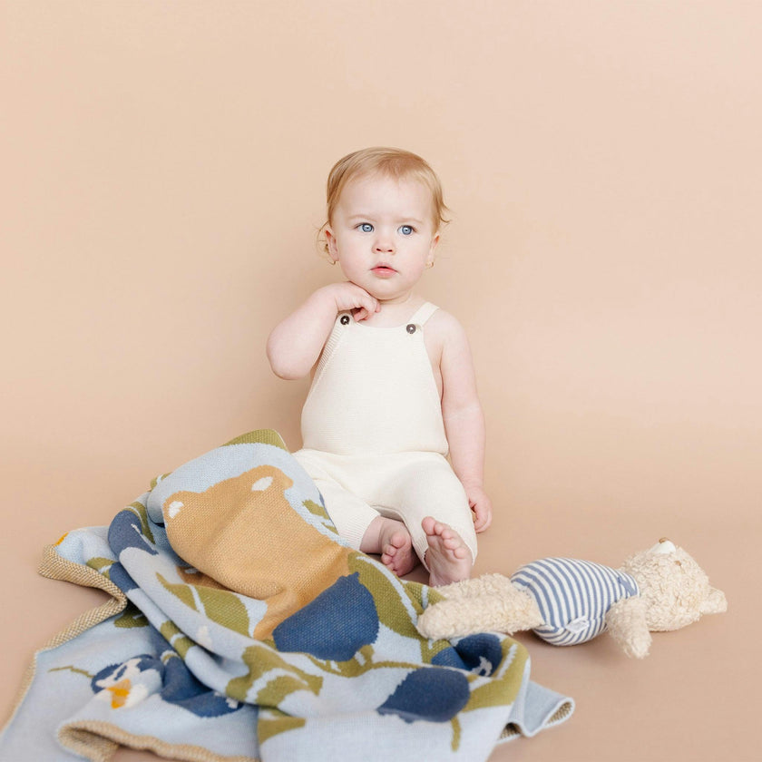 Blueberry Blanket Hat Teether Gift Set