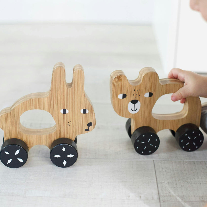Wee Gallery Push Toy -