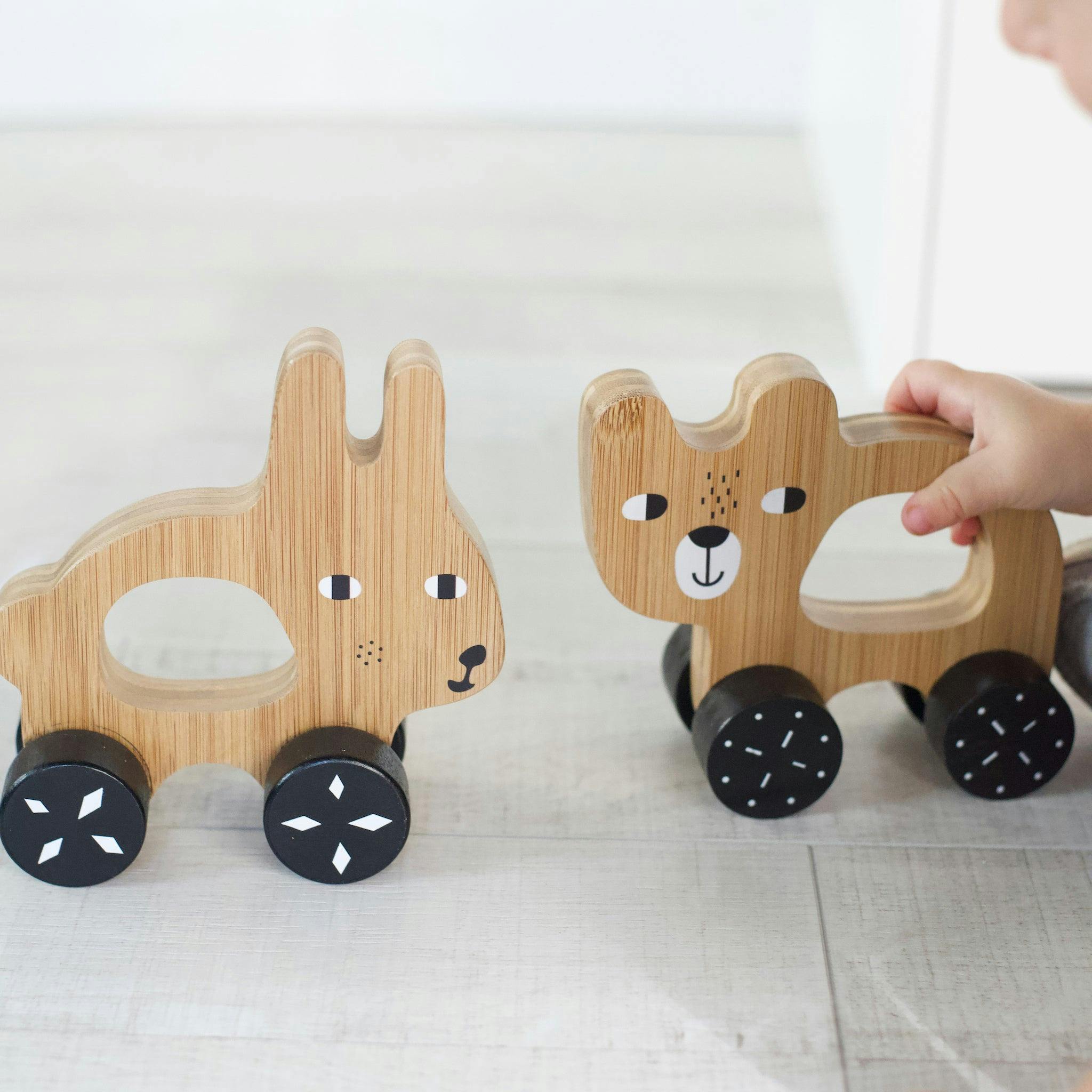 Wee Gallery Push Toy -