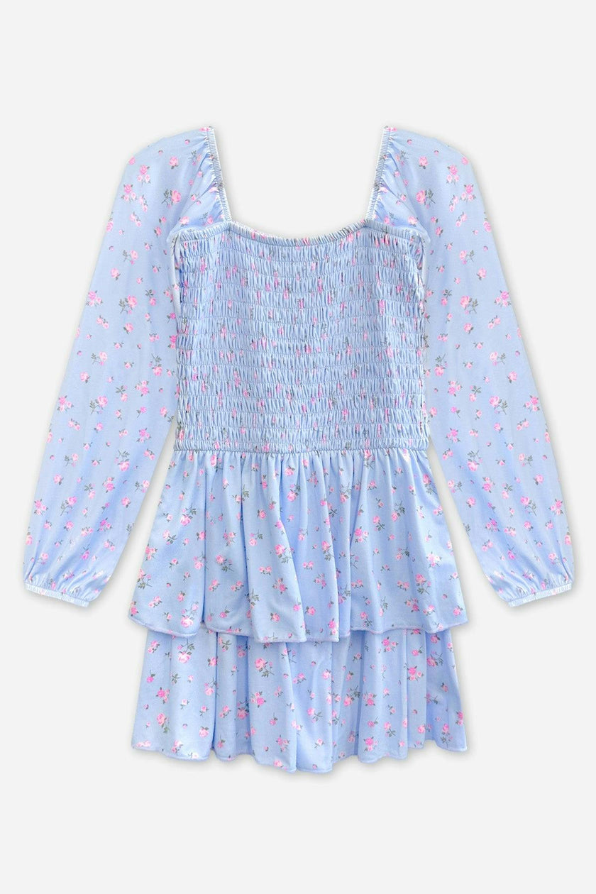 Simply Soft Long Sleeve Smocked Ruffle Skirt Dress