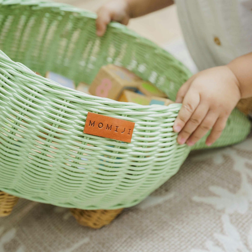 Handcrafted - Dinosaur Storage Basket Mint Green (Medium) - Rattan Wicker