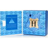 Harry Potter Ravenclaw Body Wash Infused Buffer