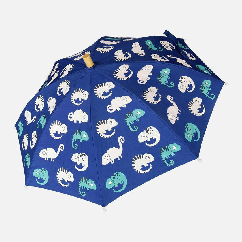 Color-Changing Umbrella