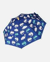Color-Changing Umbrella