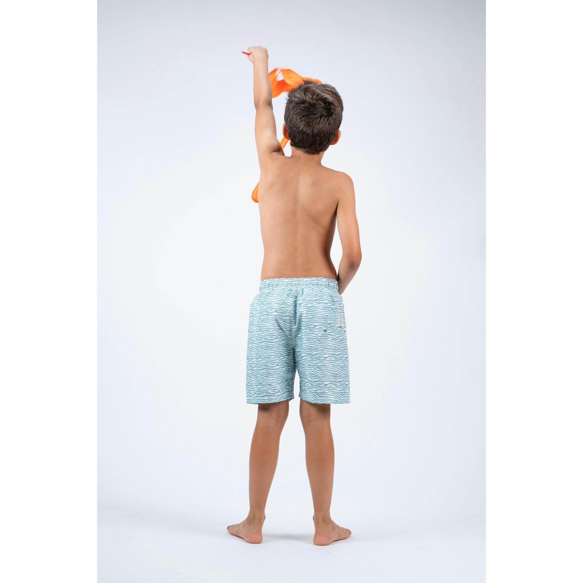 Stripes Classic Swim Shorts, Prints