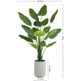 8' Bird of Paradise Tree in Modern Gray Planter