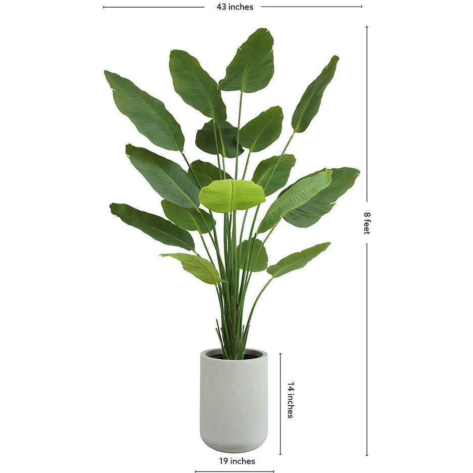 8' Bird of Paradise Tree in Modern Gray Planter