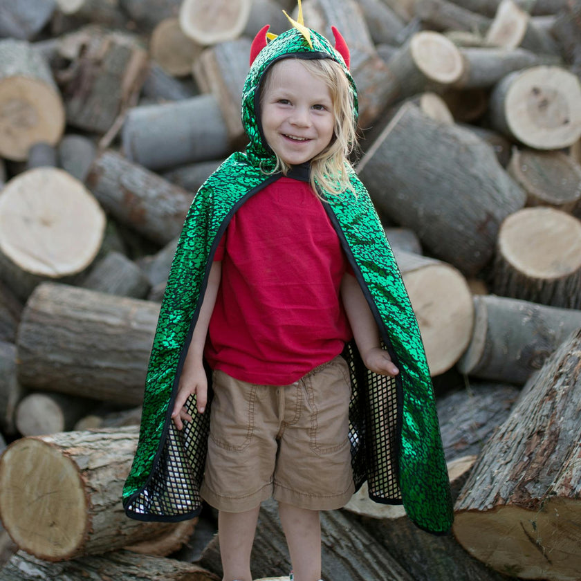 Dragon Knight Reversible Cape