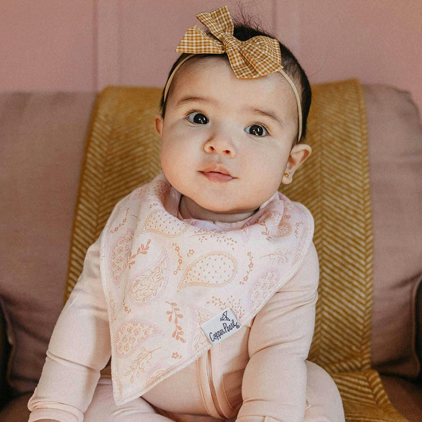 4 Pack Baby Bandana Bibs - Cheyenne